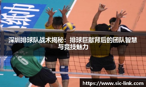 深圳排球队战术揭秘：排球巨献背后的团队智慧与竞技魅力