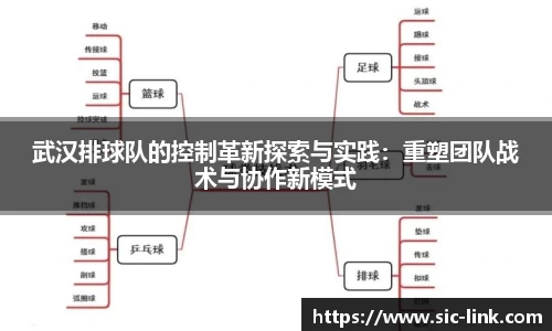 武汉排球队的控制革新探索与实践:重塑团队战术与协作新模式