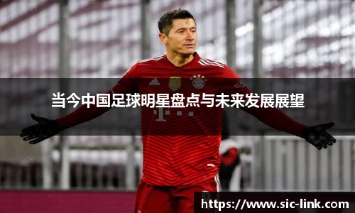 当今中国足球明星盘点与未来发展展望