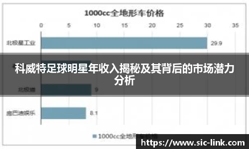 科威特足球明星年收入揭秘及其背后的市场潜力分析